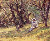 In the Orchard